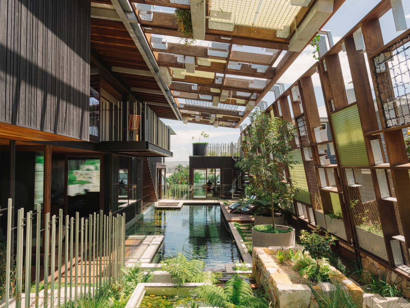 Long view of the swimming pool and planted courtyard at Holocene House in Sydney, beneath a covered timber structure.