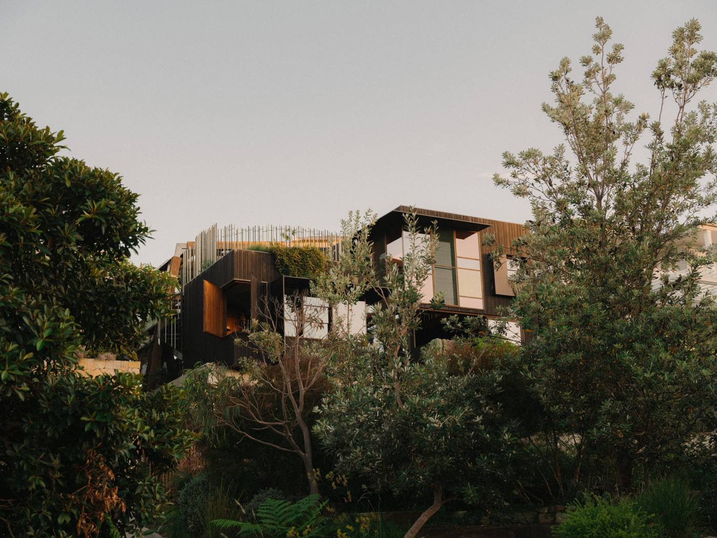 Holocene House in Sydney surrounded by dense greenery, with the contemporary residence partially visible through the trees.