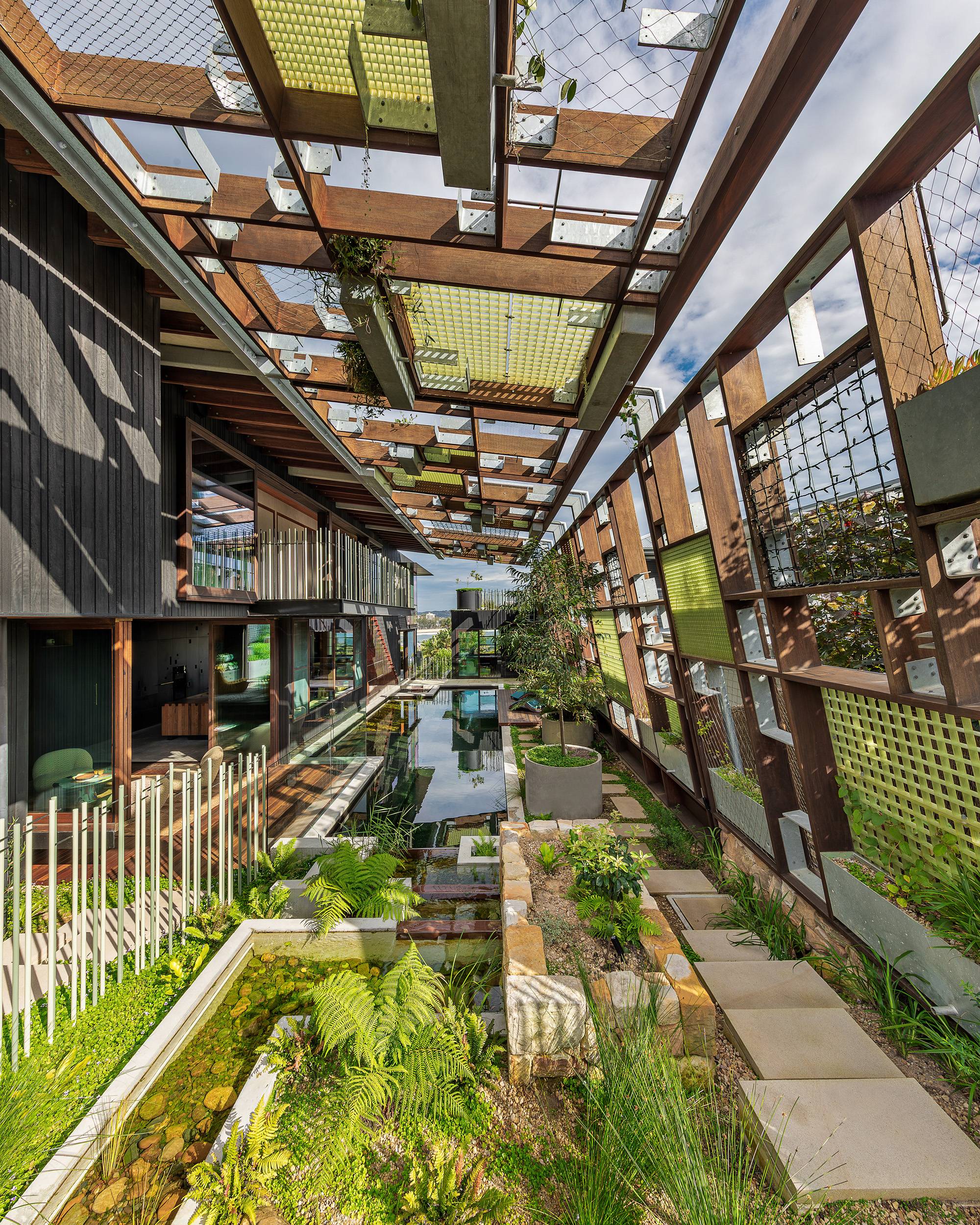 Planted courtyard and natural swimming pool beneath a timber pergola at Holocene House in Sydney.